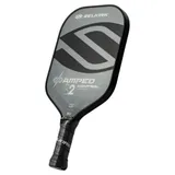 Selkirk Amped Control S2 Pickleball Paddle | Gray | Midweight