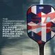 Selkirk Sport SLK Helix Pro Pickleball Paddle - Patriot - Image 5